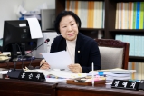 제266회 정례회 제4차 도시환경위원회 행정사무감사 2024-11-22 대표이미지